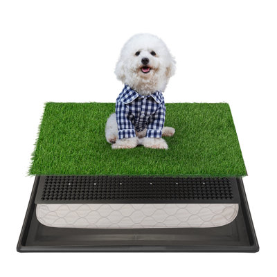 Tucker Murphy Pet Large Artificial Grass Potty Trainer Patch For Dogs With Tray Wayfair Dog Beds Mats